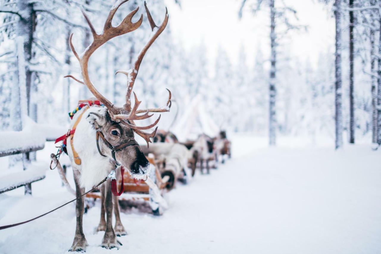 Forenom Serviced Apartments Rovaniemi Valtakatu Luaran gambar
